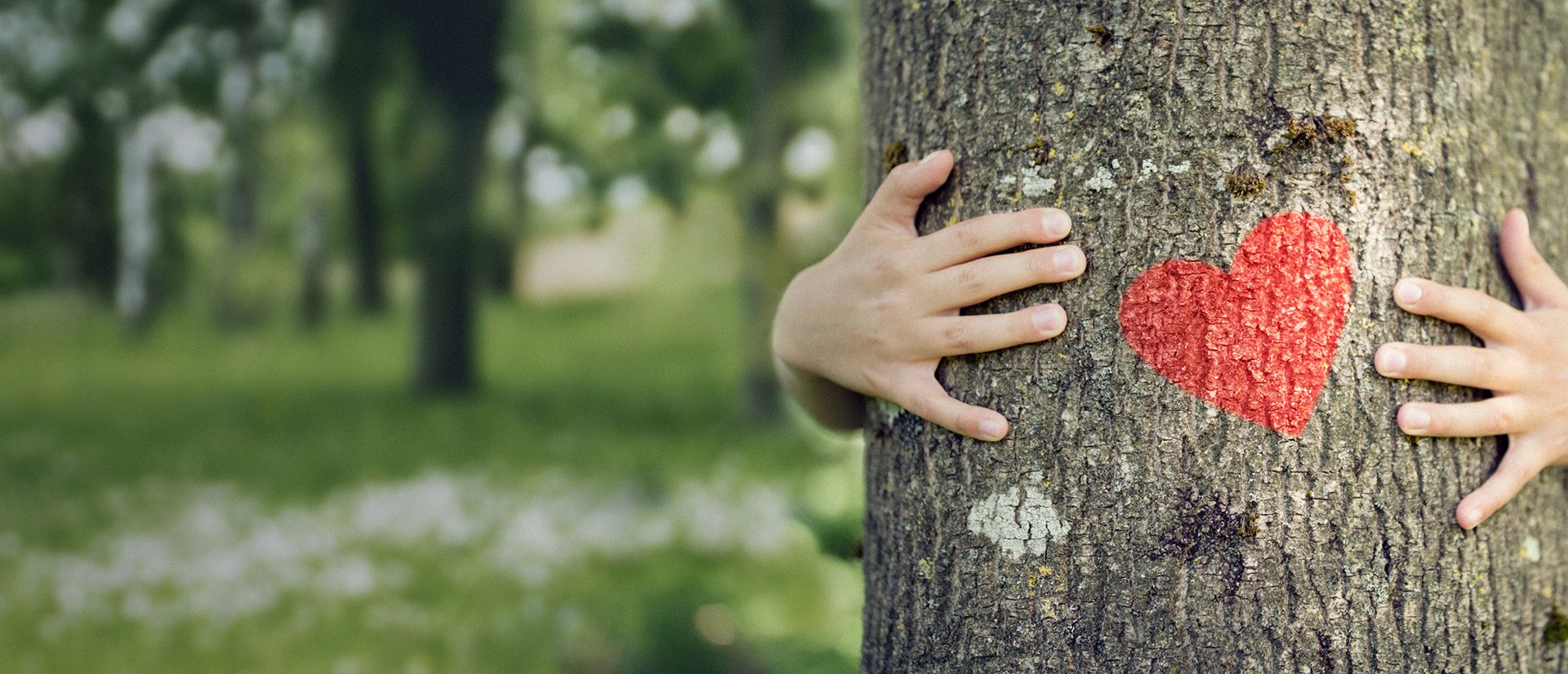 Das Foto zeigt einen Baumstamm, der von hinten umarmt wird.