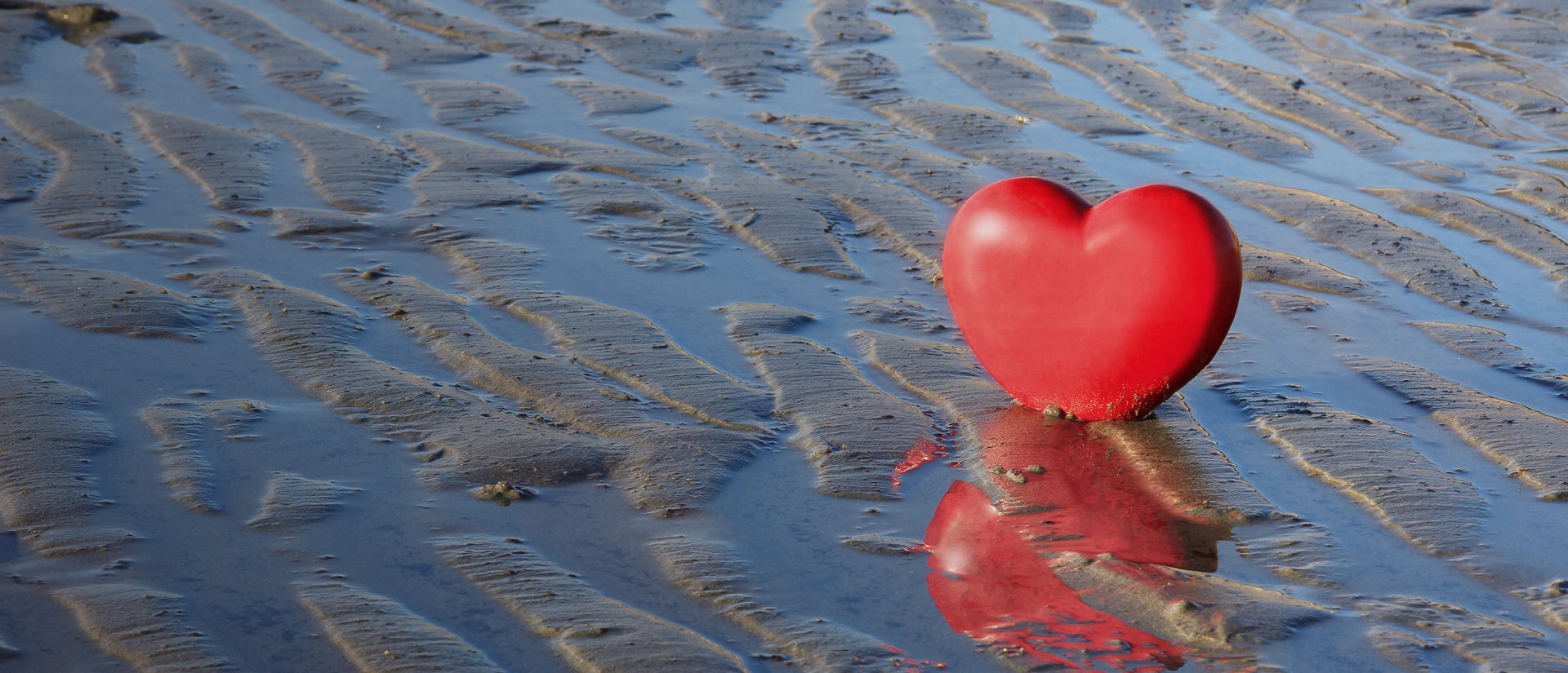 Das Foto zeigt ein Herz im Watt